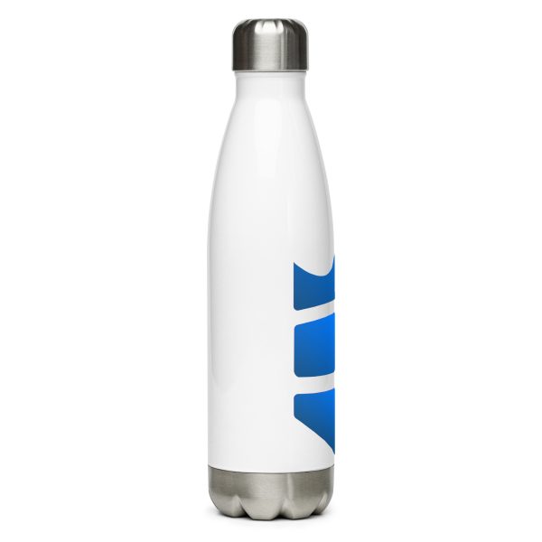 Stainless steel water bottle